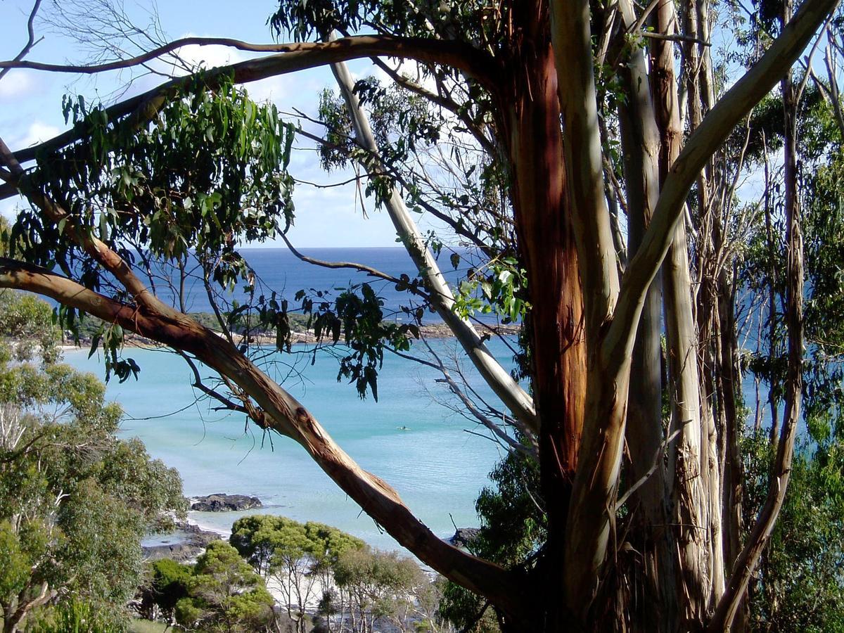 Seascape Beach House Boat Harbour Buitenkant foto